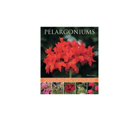 Pelargoniums