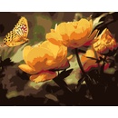 Vymalujsisam Maľovanie podľa čísiel Motýlik s kvietkami