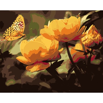 Vymalujsisam Maľovanie podľa čísiel Motýlik s kvietkami