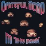 Warner Grateful Dead: In The Dark (Coloured Silver Vinyl, Syeor 2024) - Vinyl (LP) (068696)