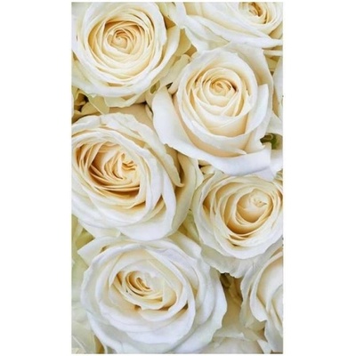 DIMEX ART Флизелинов фототапет бели рози 150 x 250 см