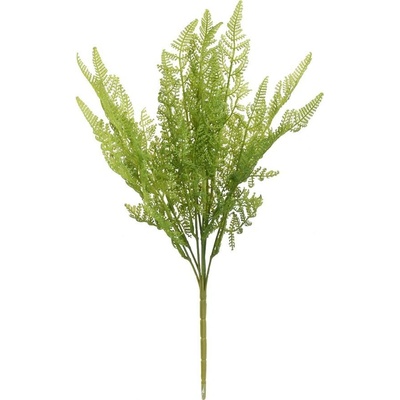 ZELEŇ PAPRAĎ TMAVO ZELENÁ 45CM