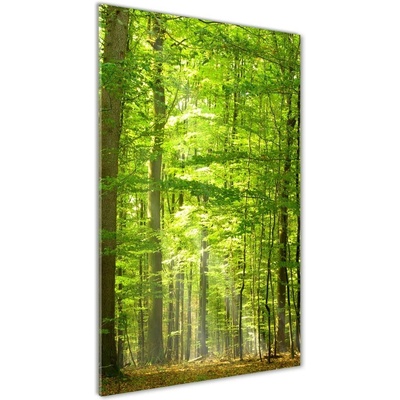 Vertikálny foto obraz akrylový na stenu Bukový les 50x100 cm