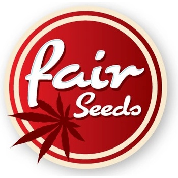 Fair Seeds Auto Amnesia semena neobsahují THC 3 ks