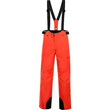 ALPINE PRO EDESA 2 M