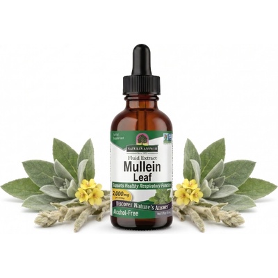 Nature's Answer Divizna velkokvětá bylinné kapky 30 ml