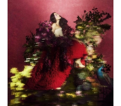 Ware Jessie - Superbloom CD
