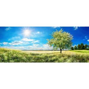 DIMEX ART Панорамни флизелинов фототапет дърво на поляната 375 x 150 см