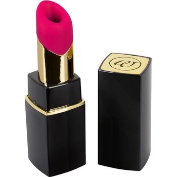 Womanizer 2GO