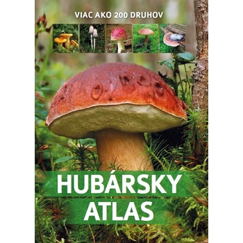 Atlas húb