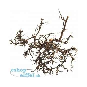 Lucky Reptile Desert Bush přírodní 15-20 cm