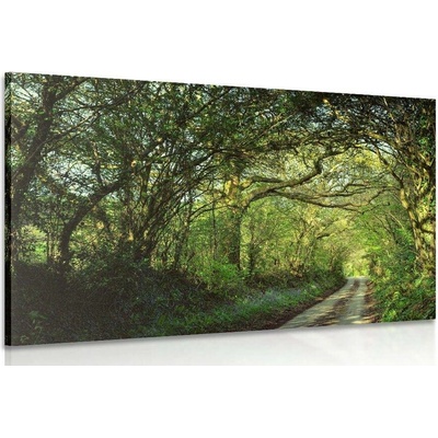 Obraz pohádkový les - 120x80