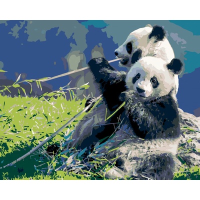 zuty Malování Podle Čísel Panda A Bambus 80 x 100 Cm Plátno Rám