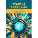 Týmová supervize