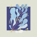 SALAMANDA - IN PARALLEL LP