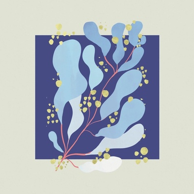 SALAMANDA - IN PARALLEL LP