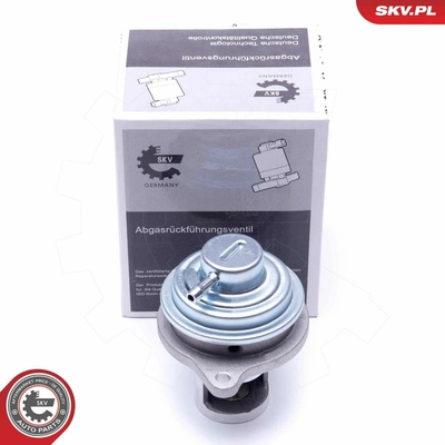 AGR-Ventil ESEN SKV 14SKV182