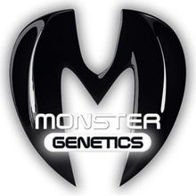 Monster Genetics Monster Moby semena neobsahují THC 5 ks