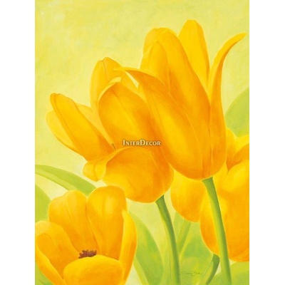 žluté tulipány 1 deska 40x50