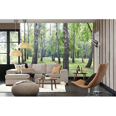 Самозалепваща се флизелинова фототапета брезова горичка vi. 375 x 250 см