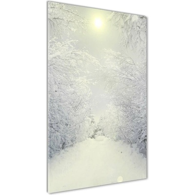 Vertikálny fotoobraz na skle Les zima 50x100 cm