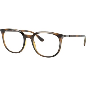 Ray-Ban RX7190 2012