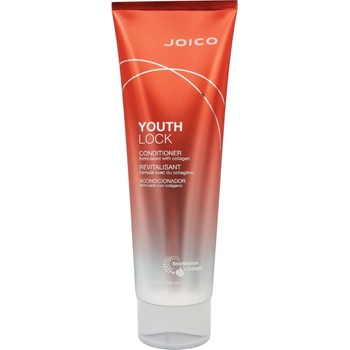 Joico YouthLock Conditioner 250 ml