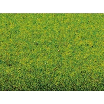 Noch koberec jarní louka 200x120cm 00290 – Zboží Dáma