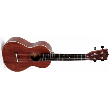 Sigma Guitars SUM-2C