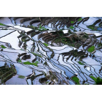 DIMEX ART s. r. o Флизелинов фототапет оризови терасовидни полета 375 x 250 см