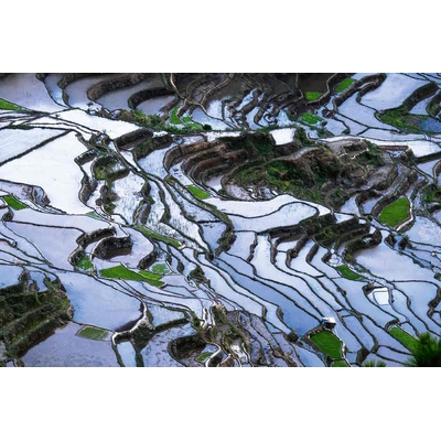 DIMEX ART Флизелинов фототапет оризови терасовидни полета 375 x 250 см