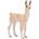 Animal Planet Mojo ANIMAL PLANET, Фигурка за игра и колекциониране, Лама бебе