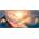 FS Holding World Of WarCraft Dragonflight Clouds XL (FBLMPDFFLCLD22SXL)