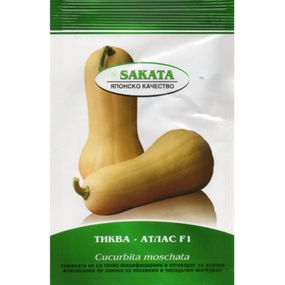 Sakata Seed Тиква мускатна Атлас f1 - НОВО