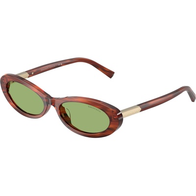 Tiffany & Co Tiffany & Co. TF4250 8440/2 (TF4250 8440/2)