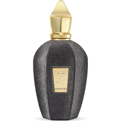 Xerjoff V Ouverture parfémovaná voda unisex 100 ml