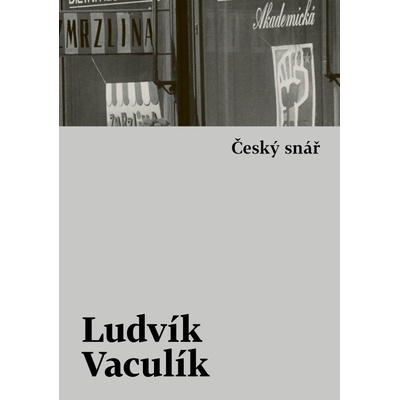 Český snář - Ludvík Vaculík