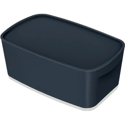 Leitz LEITZ Úložný box s vekomMyBox, veľkosť S zamatový šedý