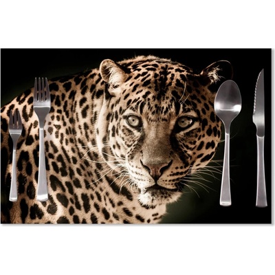 Sablio Prestieranie Leopard 40x30cm