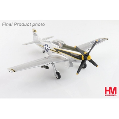Hobby Master P-51D Mustang USAAF 23rd FG 118th TRS Edward McComas Luliang China 1945 1:48