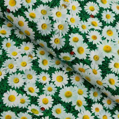 PVC obrus Margaréty na zelenom PV-161 - metráž š. 140 cm