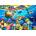 Bluebird Puzzle - Puzzle Turtle Beach - 300 piese