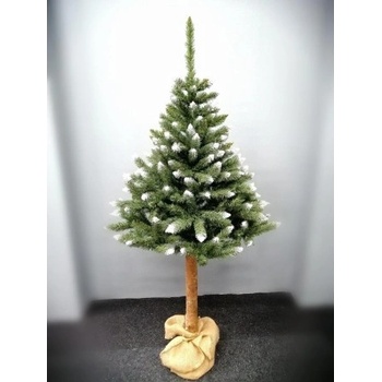 Sammer Vianočný stromček na drevenom pni 180 cm Konrad Konrad 180 cm