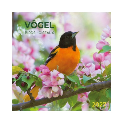 Vögel / Birds 2027