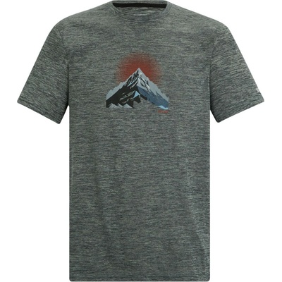 Regatta Fingal Graphic T-Shirt sivé