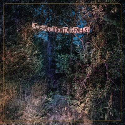 EYELIDS - ACCIDENTAL FALLS CD