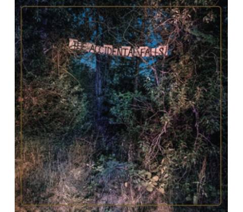 EYELIDS - ACCIDENTAL FALLS CD