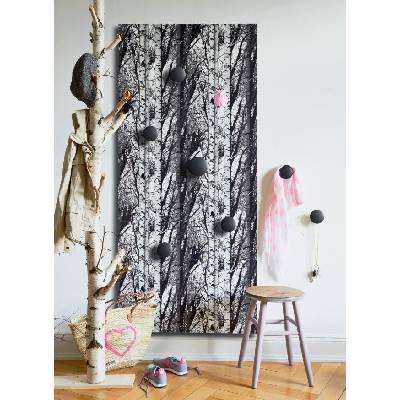 d-c-fix Samolepící tapeta Decor, vzor Wood Břízy, rozměry šíře 45cm, 1m