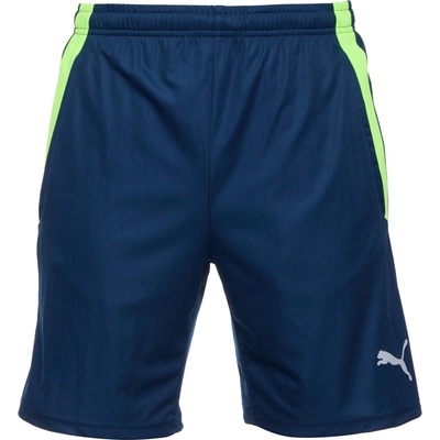 Puma TEAMLIGA TRAINING SHORTS 2