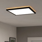 EGLO 901443-LED баня таванно осветление ROVITO 17, 6W/230V 39x39cm IP44 черно (EG901443)